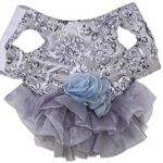 Image du produit précédent